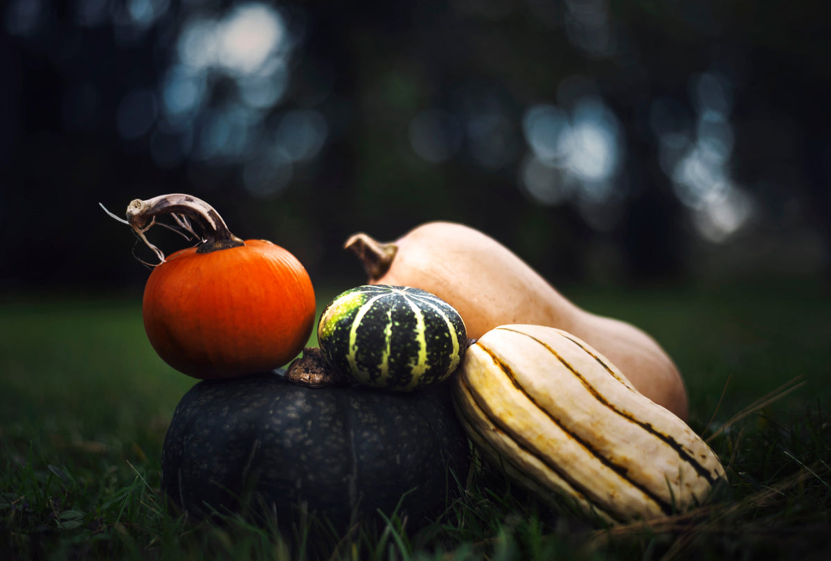 October Reset Routine: A Cozy, Productive Fall Refresh